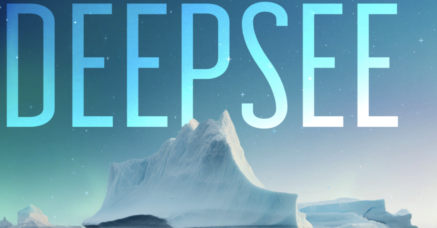 Case Study: How DeepSee Commerce became the SaaS instead of buying one